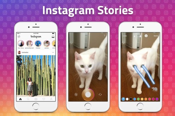 story d'instagram avec un chat tirant des lasers
