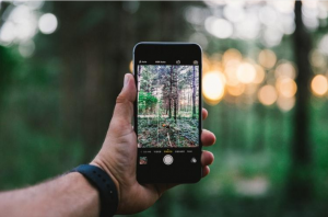 ennui et confinement : smartphone photographiant une forêt