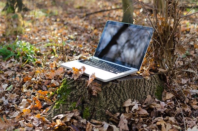 web et écologie, l'éco-conception, photo d'un ordinateur au pied d'un arbre